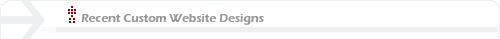 Recent Custom Website Designs NC Website Design Company Raleigh, Cary Web Design